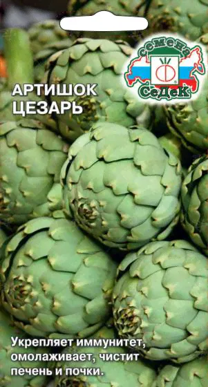 Артишок Цезарь (Евро, 0,2) семена